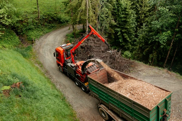 Holzige Biomasse Holzige Biomasse