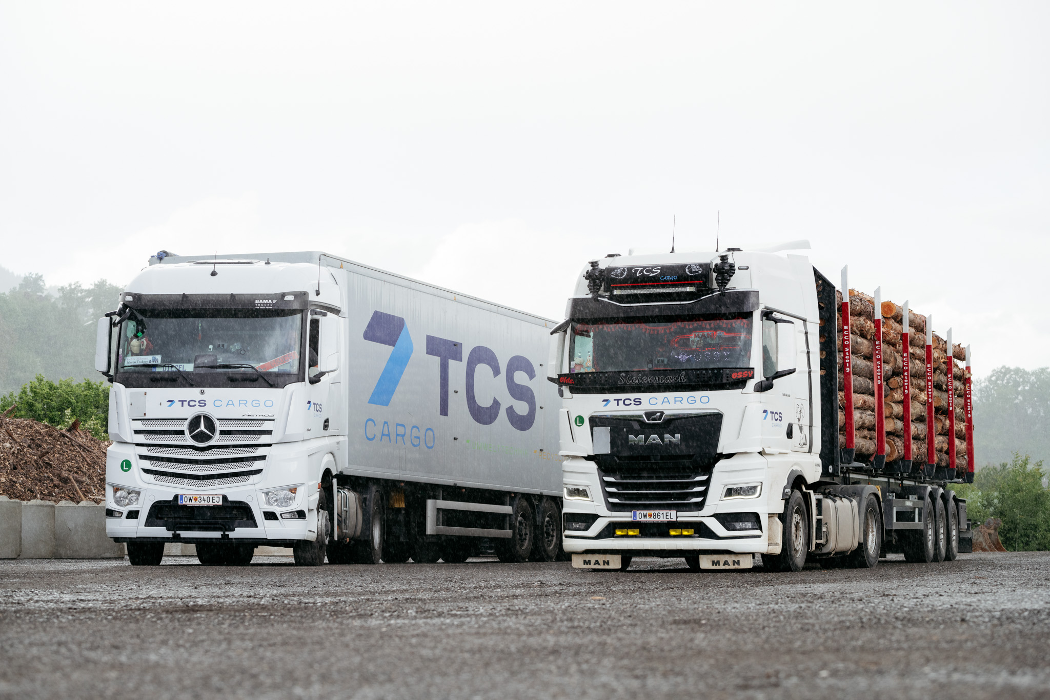 About us - Company - TCS